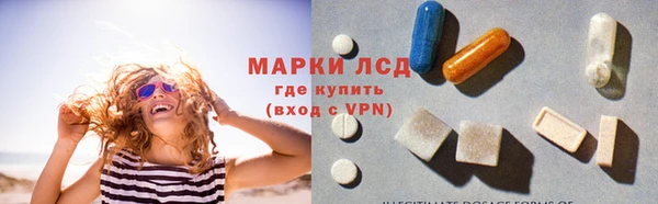 мяу мяу мука Надым