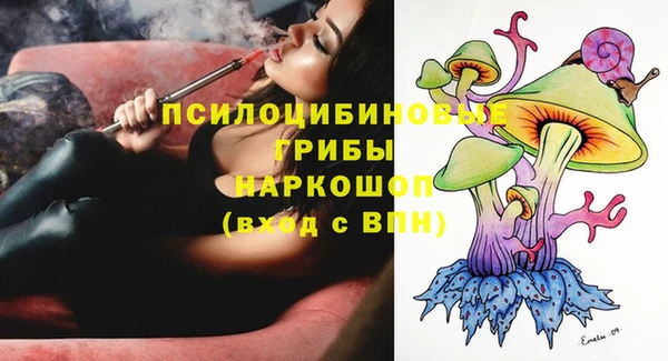 ГАЛЛЮЦИНОГЕННЫЕ ГРИБЫ Навашино
