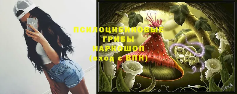 Галлюциногенные грибы MAGIC MUSHROOMS  Козьмодемьянск 