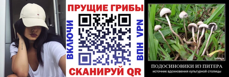 Галлюциногенные грибы Magic Shrooms  Козьмодемьянск 